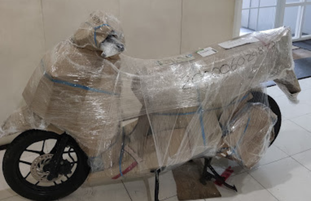 Untitled design (53)